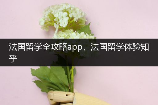 法国留学全攻略app，法国留学体验知乎