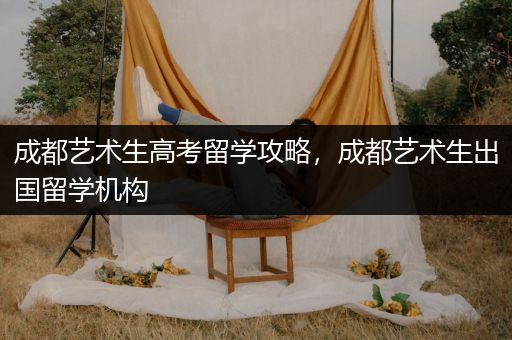 成都艺术生高考留学攻略，成都艺术生出国留学机构