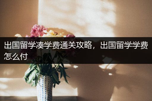 出国留学凑学费通关攻略，出国留学学费怎么付
