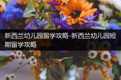 新西兰幼儿园留学攻略-新西兰幼儿园短期留学攻略