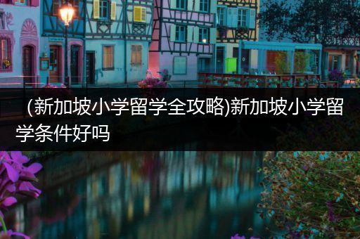 （新加坡小学留学全攻略)新加坡小学留学条件好吗