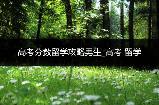 高考分数留学攻略男生_高考 留学