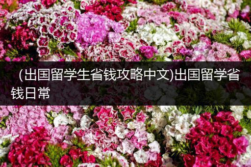 （出国留学生省钱攻略中文)出国留学省钱日常