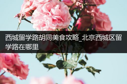西城留学路胡同美食攻略_北京西城区留学路在哪里