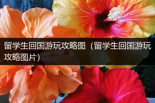 留学生回国游玩攻略图（留学生回国游玩攻略图片）