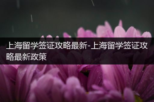 上海留学签证攻略最新-上海留学签证攻略最新政策