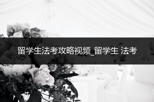 留学生法考攻略视频_留学生 法考