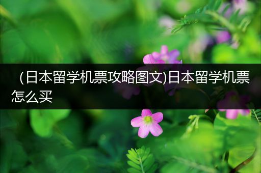 （日本留学机票攻略图文)日本留学机票怎么买