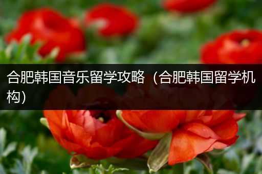 合肥韩国音乐留学攻略（合肥韩国留学机构）
