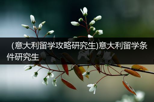 （意大利留学攻略研究生)意大利留学条件研究生