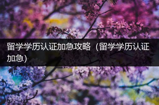 留学学历认证加急攻略（留学学历认证 加急）