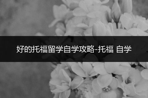 好的托福留学自学攻略-托福 自学