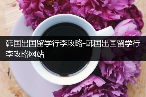 韩国出国留学行李攻略-韩国出国留学行李攻略网站