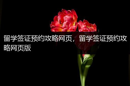 留学签证预约攻略网页，留学签证预约攻略网页版