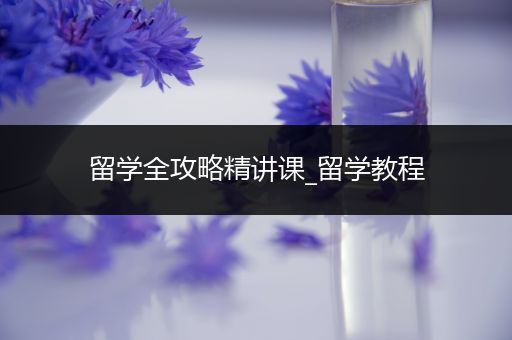 留学全攻略精讲课_留学教程