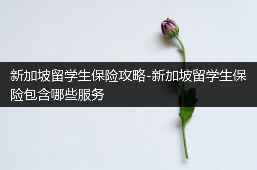 新加坡留学生保险攻略-新加坡留学生保险包含哪些服务