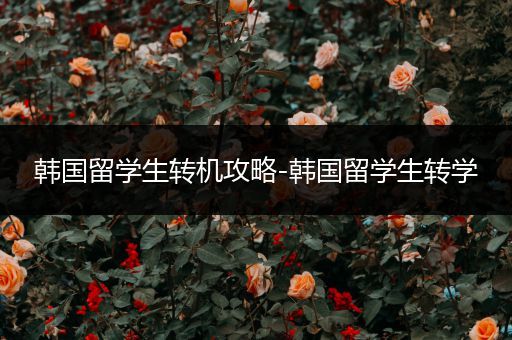 韩国留学生转机攻略-韩国留学生转学