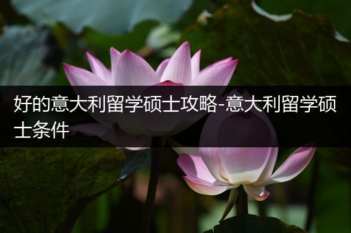 好的意大利留学硕士攻略-意大利留学硕士条件