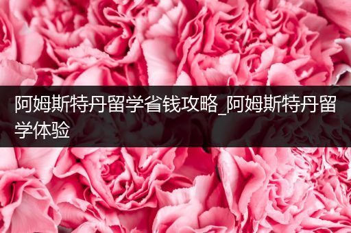 阿姆斯特丹留学省钱攻略_阿姆斯特丹留学体验