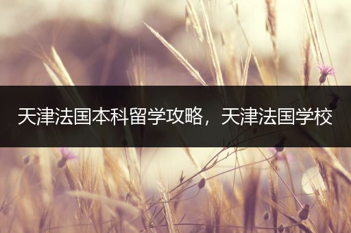 天津法国本科留学攻略，天津法国学校