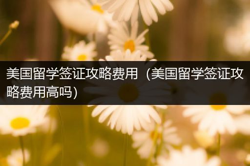 美国留学签证攻略费用（美国留学签证攻略费用高吗）