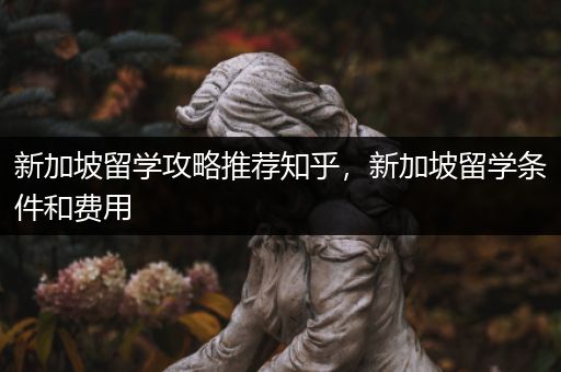 新加坡留学攻略推荐知乎，新加坡留学条件和费用