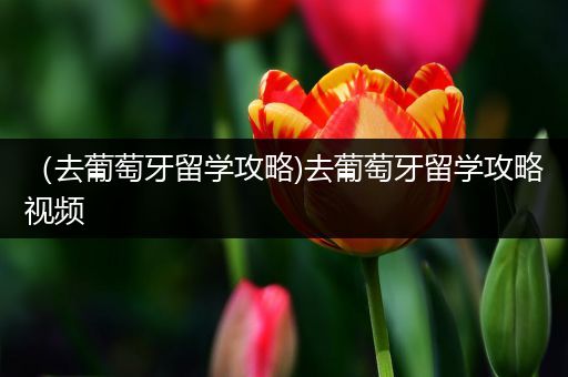 （去葡萄牙留学攻略)去葡萄牙留学攻略视频
