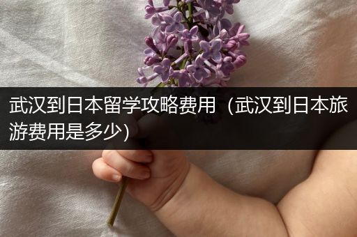 武汉到日本留学攻略费用（武汉到日本旅游费用是多少）