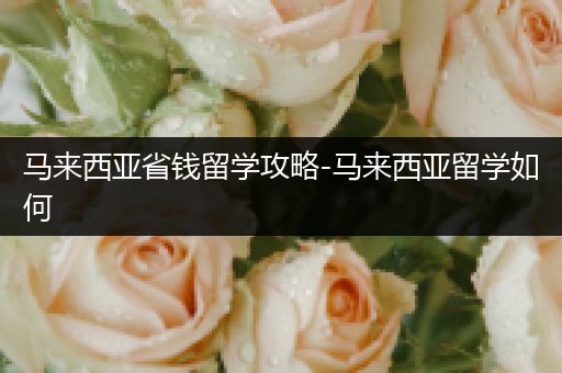 马来西亚省钱留学攻略-马来西亚留学如何
