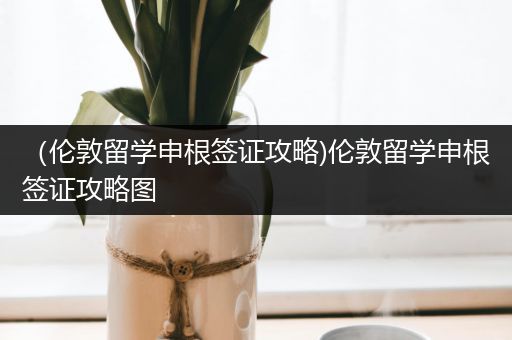 （伦敦留学申根签证攻略)伦敦留学申根签证攻略图