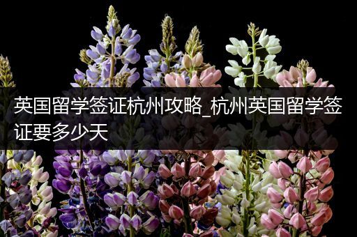 英国留学签证杭州攻略_杭州英国留学签证要多少天
