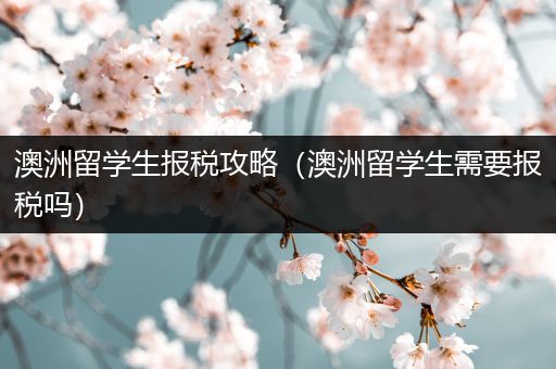 澳洲留学生报税攻略（澳洲留学生需要报税吗）