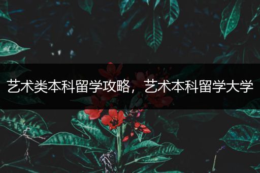 艺术类本科留学攻略，艺术本科留学大学
