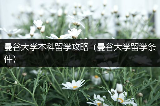 曼谷大学本科留学攻略（曼谷大学留学条件）