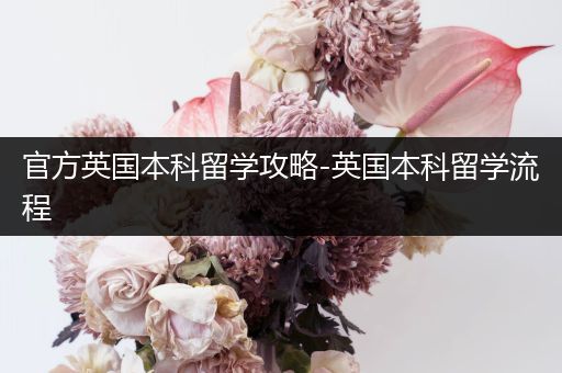 官方英国本科留学攻略-英国本科留学流程