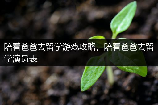 陪着爸爸去留学游戏攻略，陪着爸爸去留学演员表