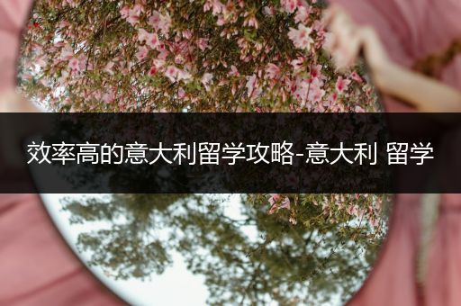 效率高的意大利留学攻略-意大利 留学