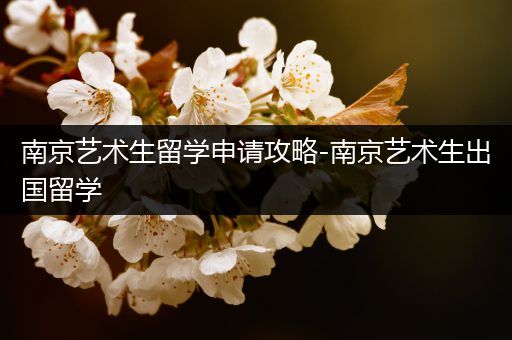 南京艺术生留学申请攻略-南京艺术生出国留学