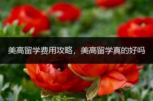 美高留学费用攻略，美高留学真的好吗
