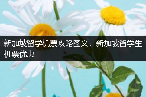 新加坡留学机票攻略图文，新加坡留学生机票优惠
