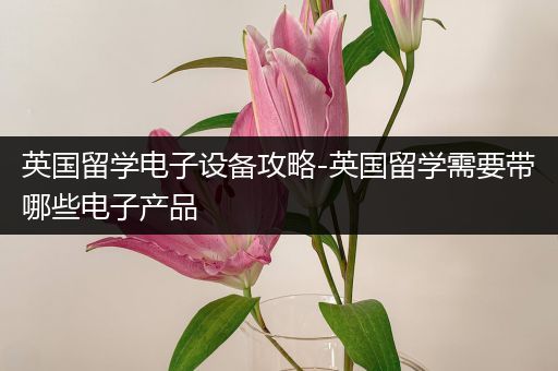 英国留学电子设备攻略-英国留学需要带哪些电子产品