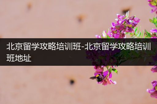 北京留学攻略培训班-北京留学攻略培训班地址