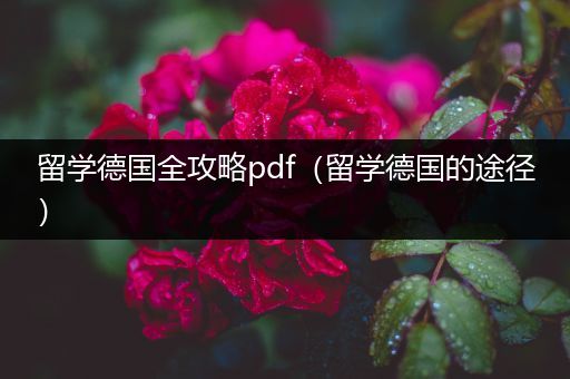 留学德国全攻略pdf（留学德国的途径）