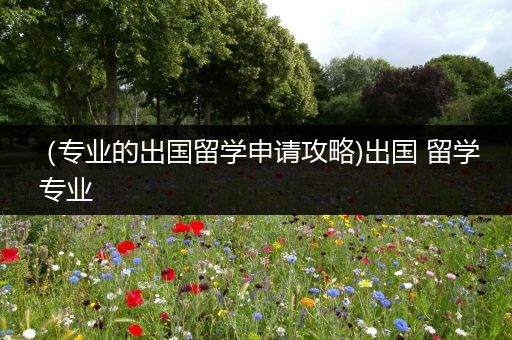 （专业的出国留学申请攻略)出国 留学 专业