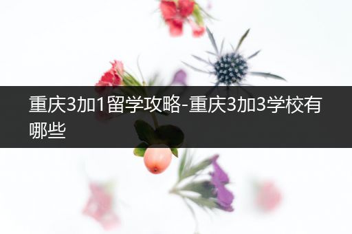 重庆3加1留学攻略-重庆3加3学校有哪些