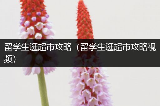 留学生逛超市攻略（留学生逛超市攻略视频）