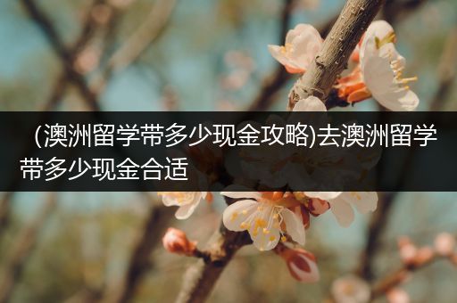 （澳洲留学带多少现金攻略)去澳洲留学带多少现金合适
