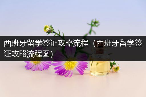 西班牙留学签证攻略流程（西班牙留学签证攻略流程图）