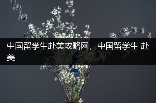 中国留学生赴美攻略网，中国留学生 赴美
