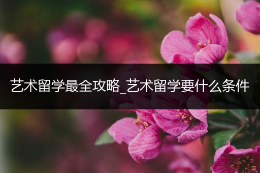 艺术留学最全攻略_艺术留学要什么条件